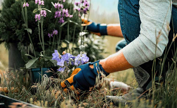 Gardening gloves and team spirit